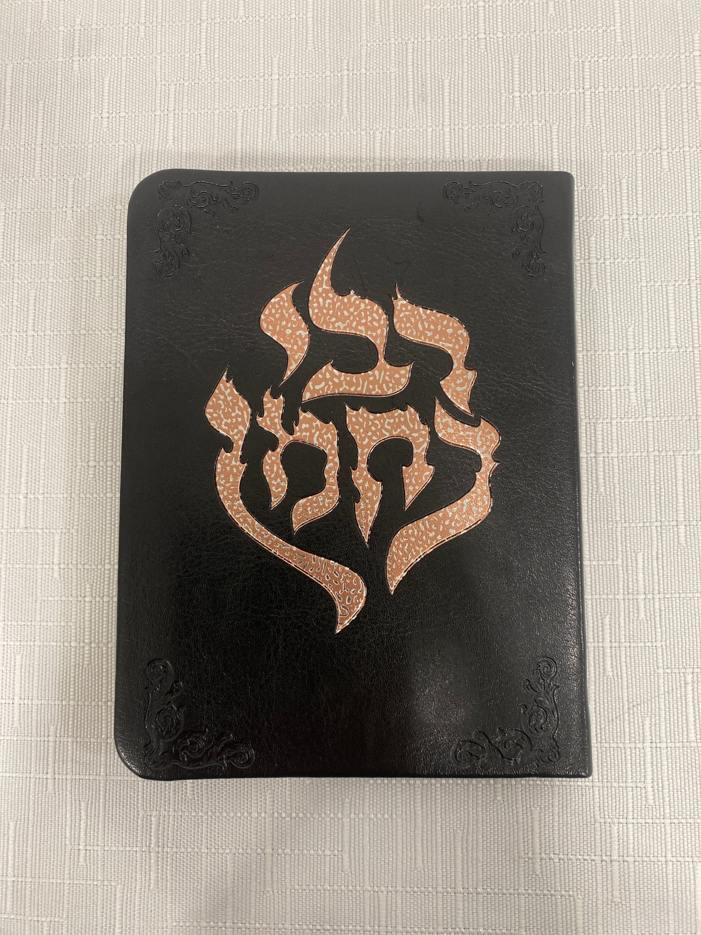 תיקון הכללי מעוצב עברית וצרפתית